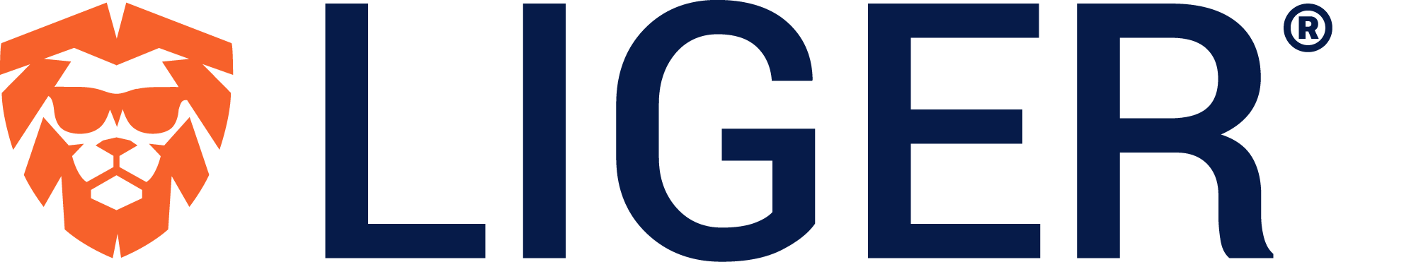 LIGER logo