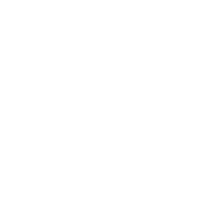 Checkbox icon