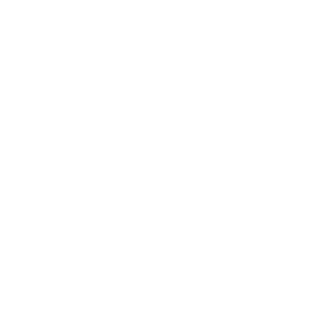 Magnifying glass icon
