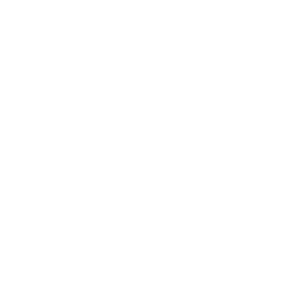 Program Management icon