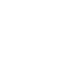 Check mark icon