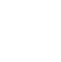 Puzzle icon